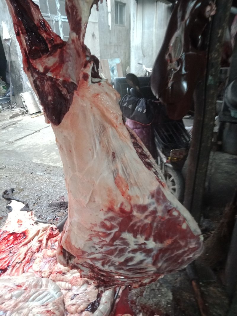 现杀活驴肉
