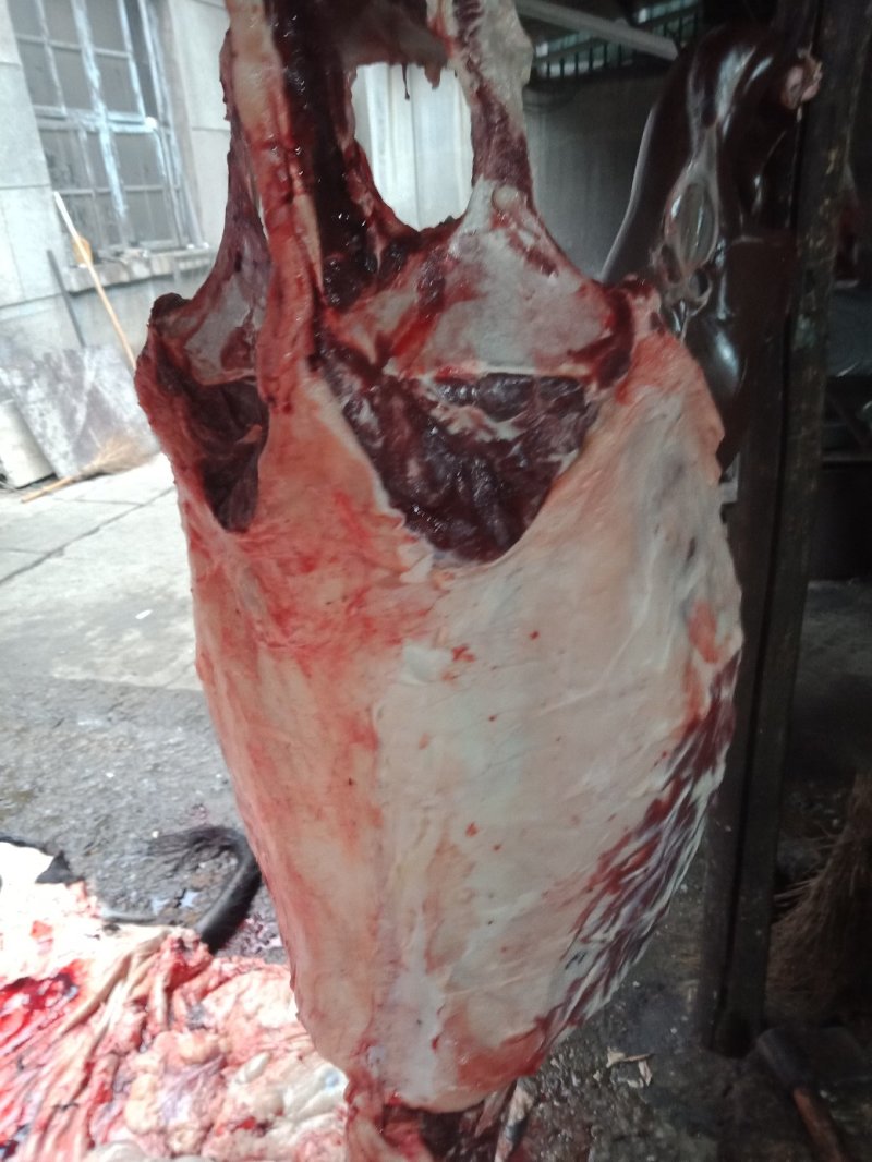 现杀活驴肉