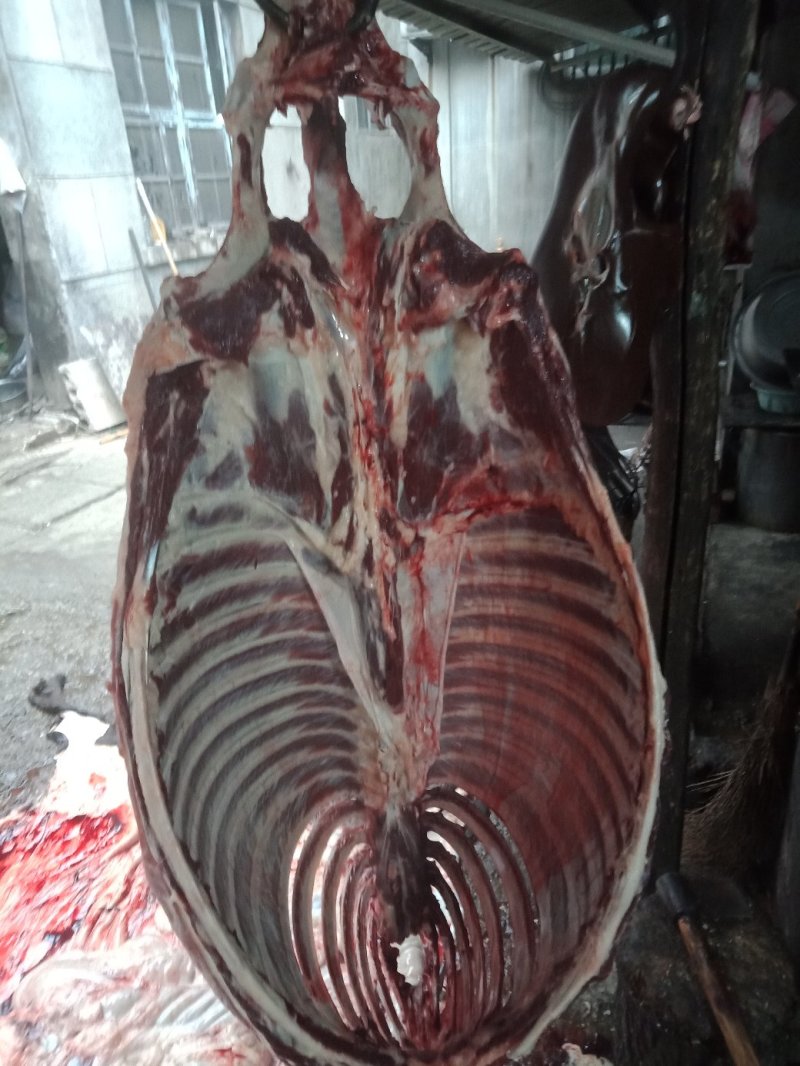 现杀活驴肉