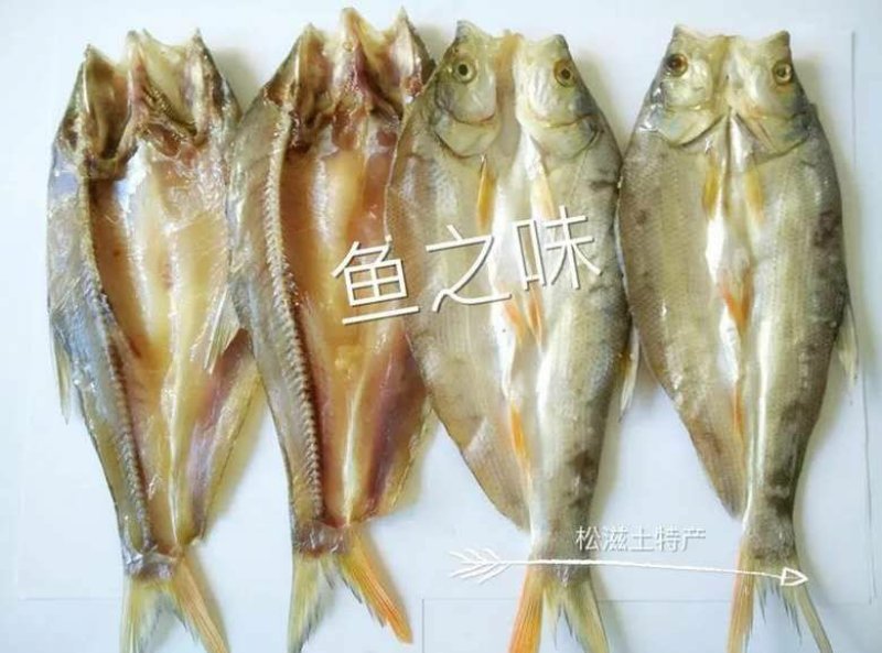 畜牧水产