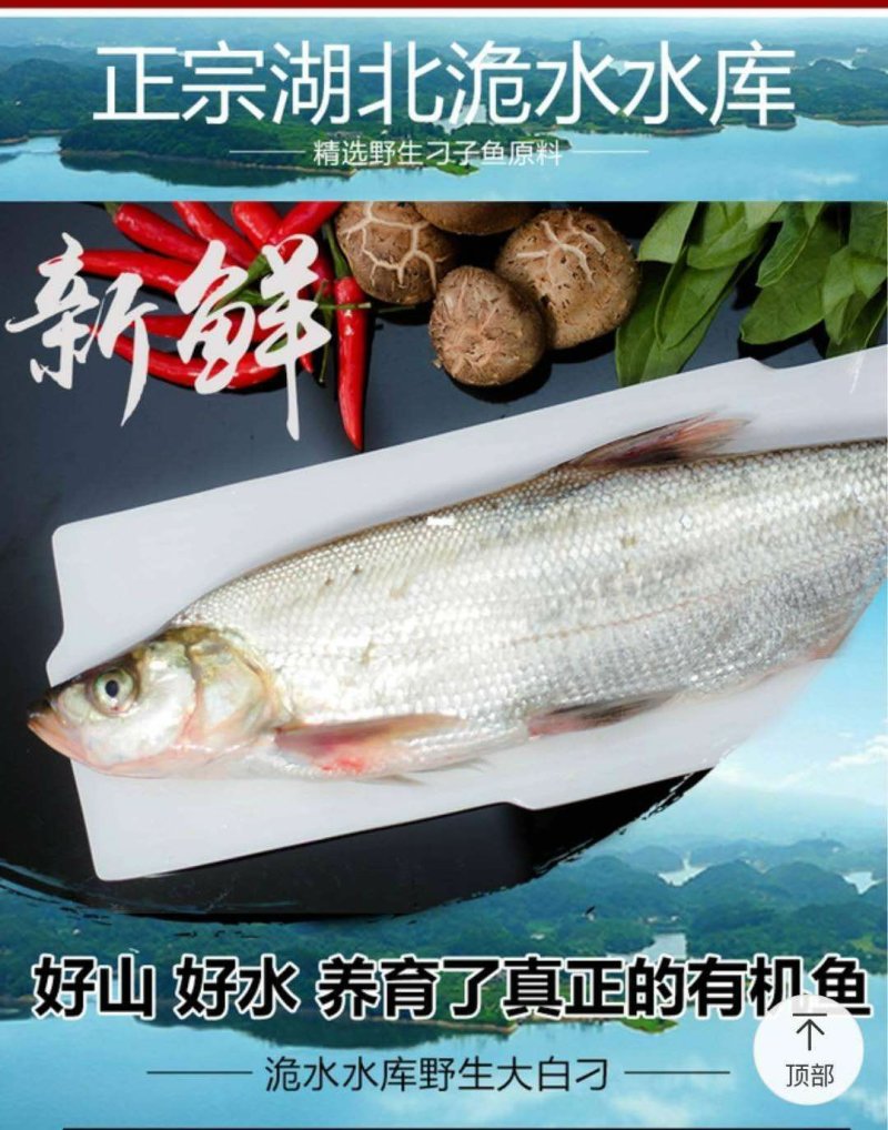 畜牧水产