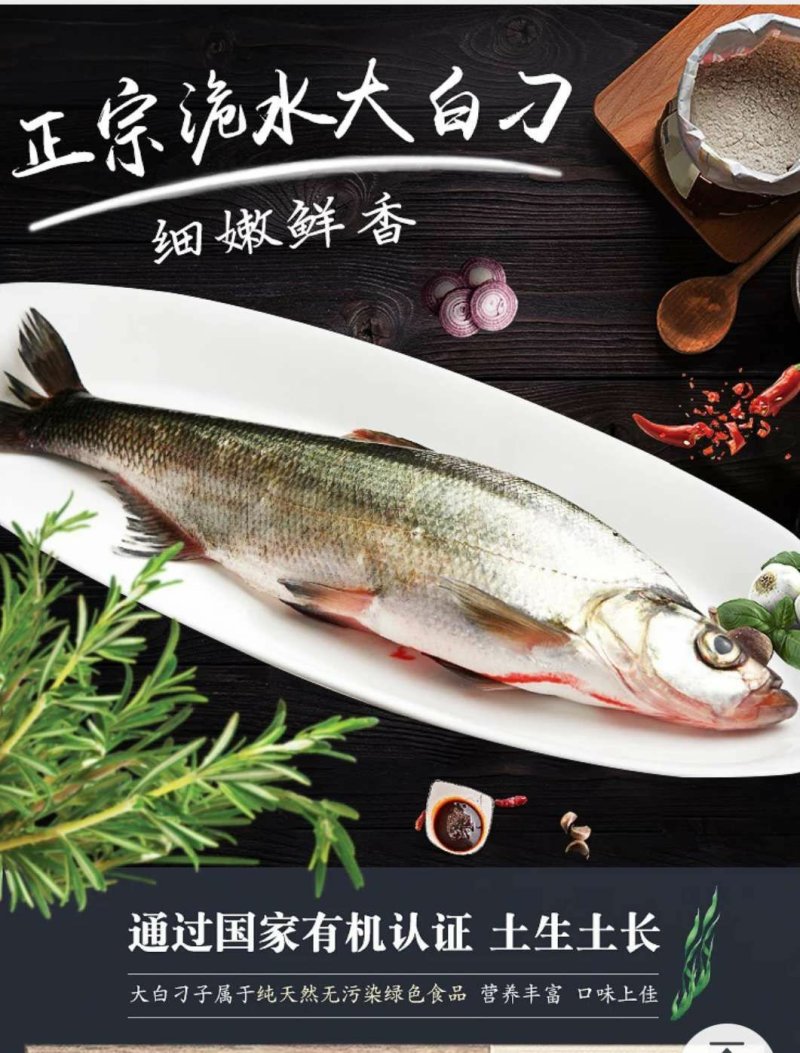 畜牧水产
