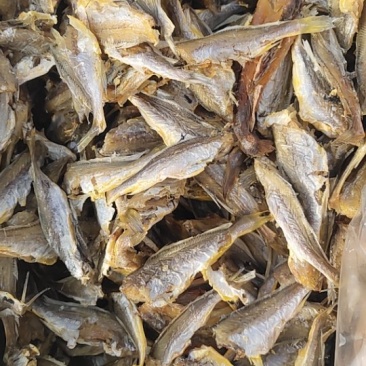 香酥小黄鱼