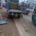 优质香菜大量上市中，发往全国各地，欢迎致电咨询。