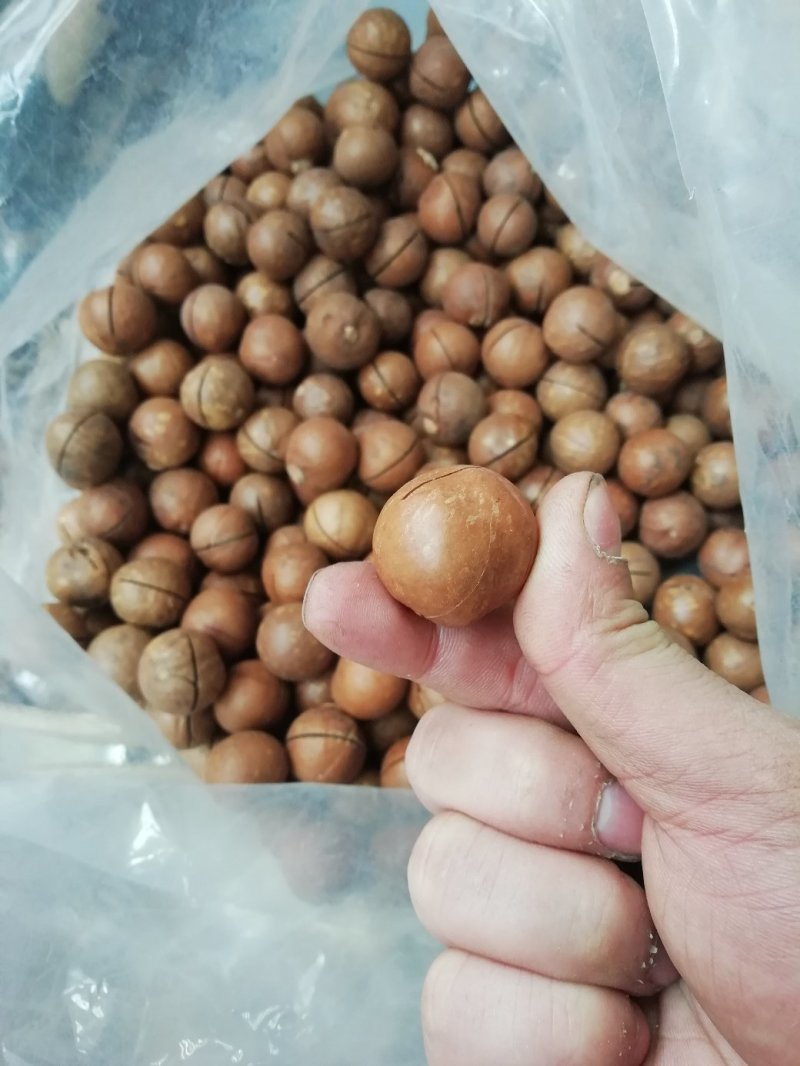 包邮一手货源质量保证，包退包换进口开口夏威夷果