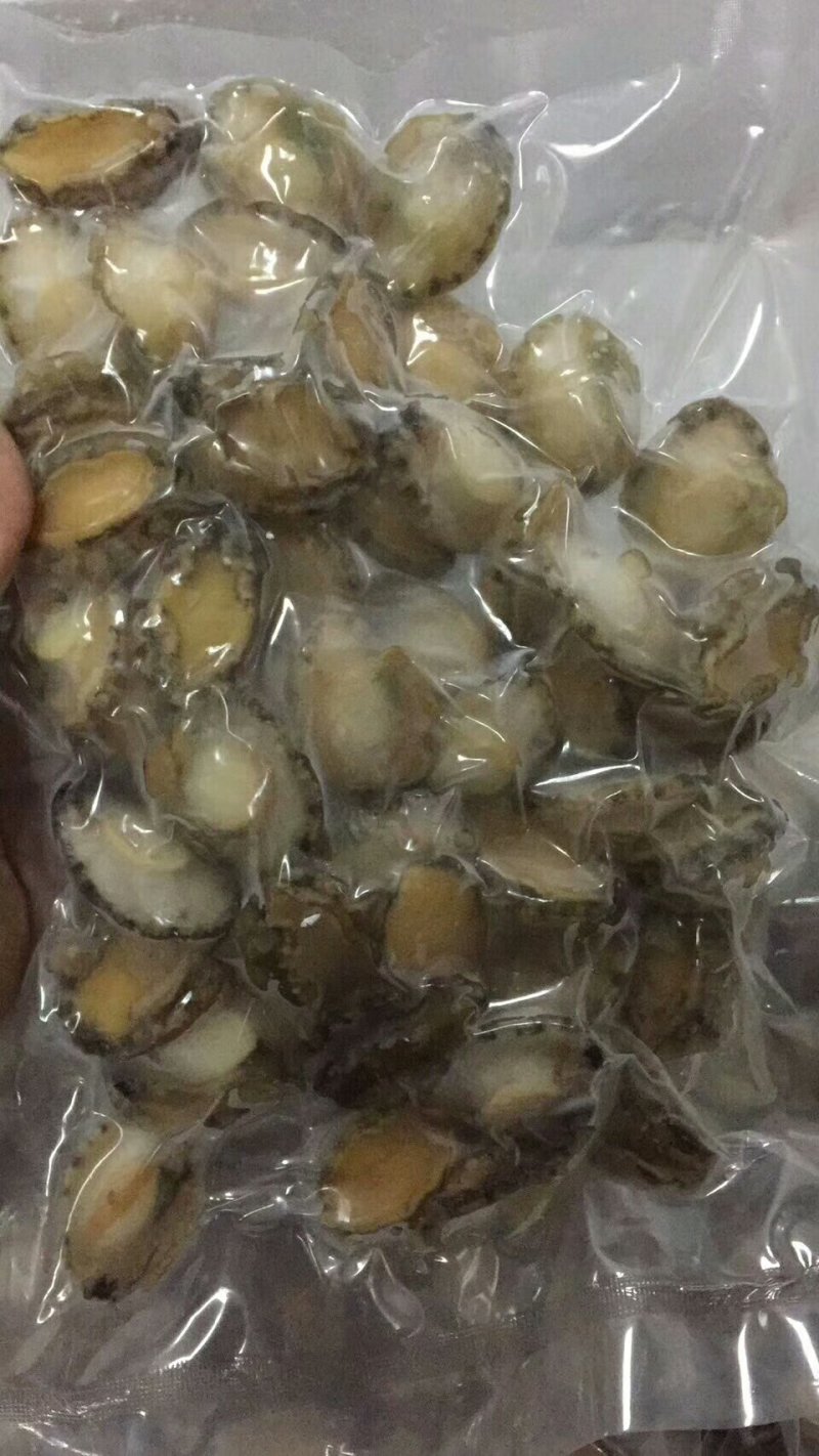 大连鲍鱼