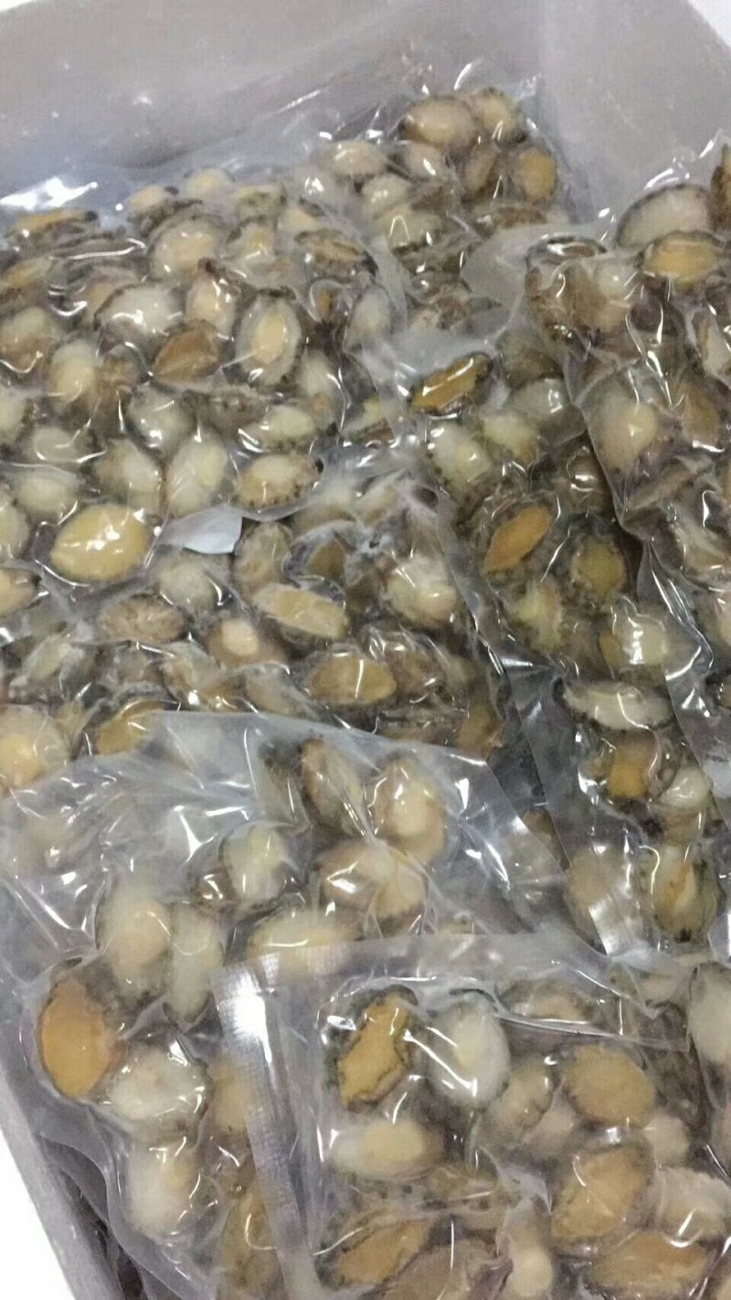 大连鲍鱼