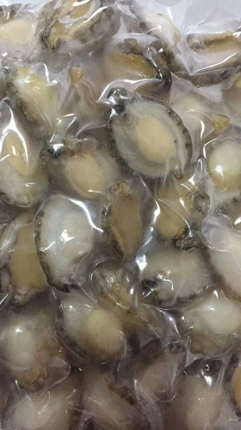大连鲍鱼