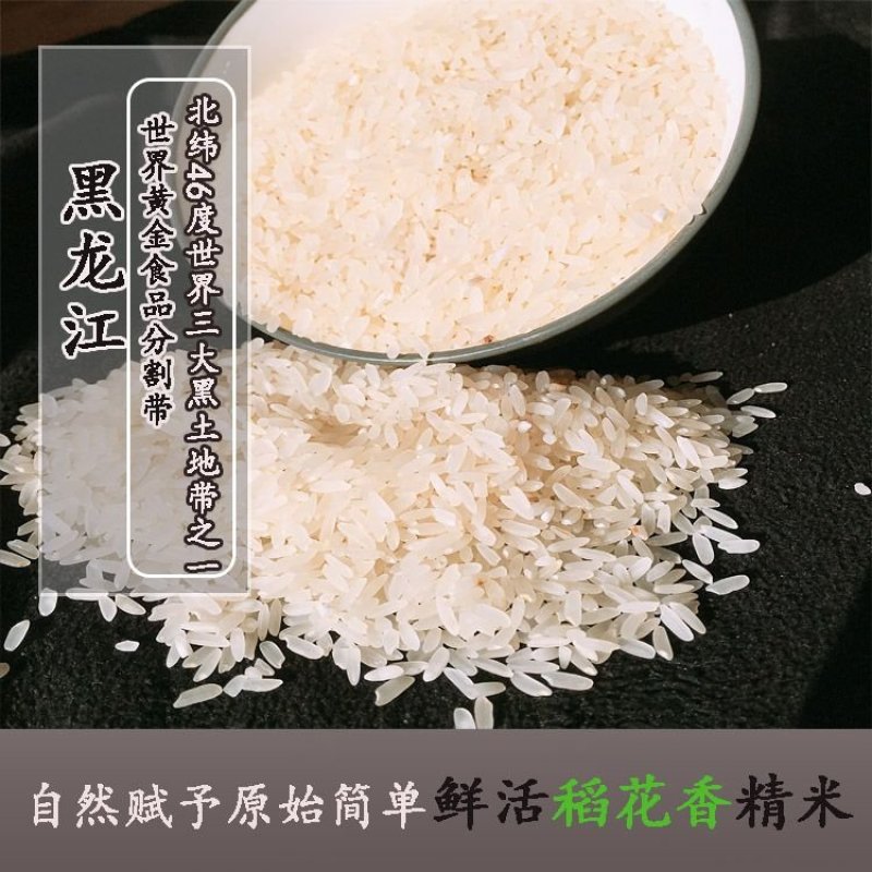 东北大米现磨鲜活大米长粒香鲜米