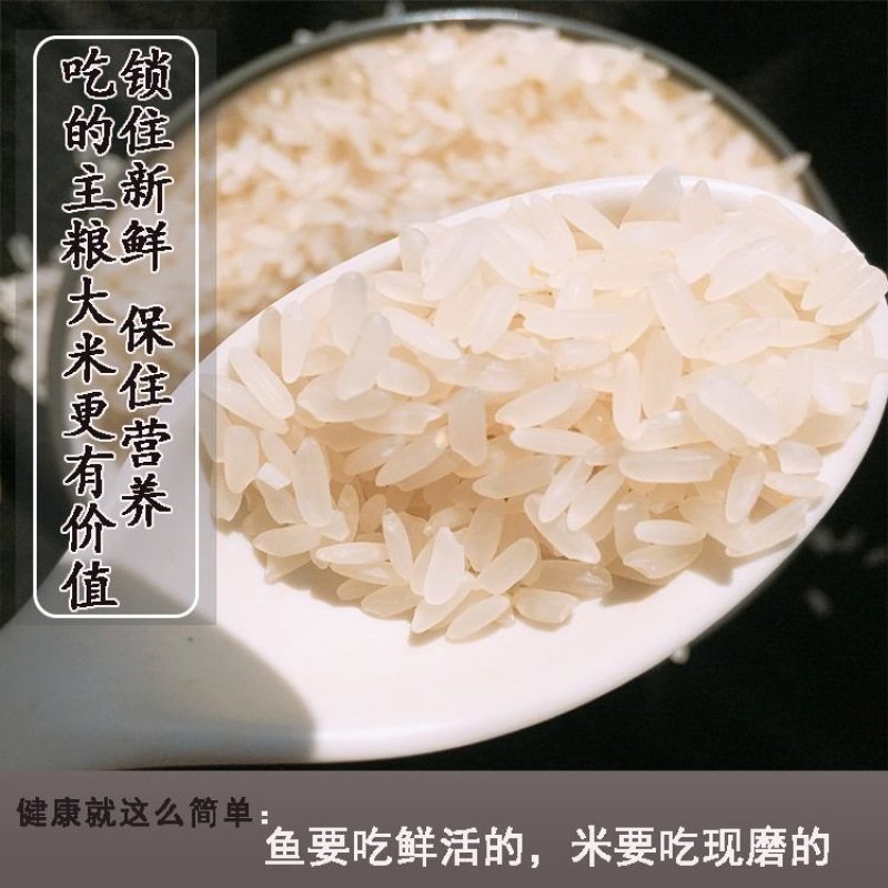 东北大米现磨鲜活大米长粒香鲜米
