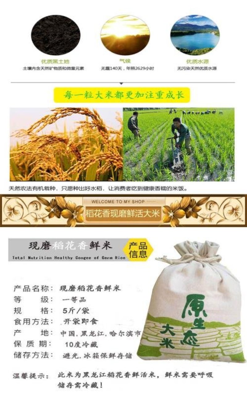 东北大米现磨鲜活大米长粒香鲜米