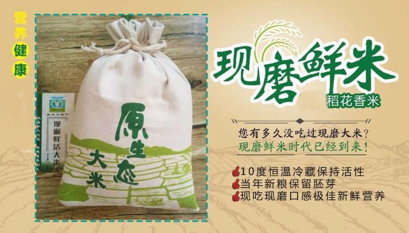 东北大米现磨鲜活大米长粒香鲜米