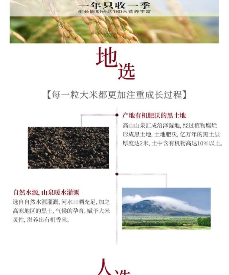 私人订制东北鲜米现磨新鲜米粳米稻谷现磨