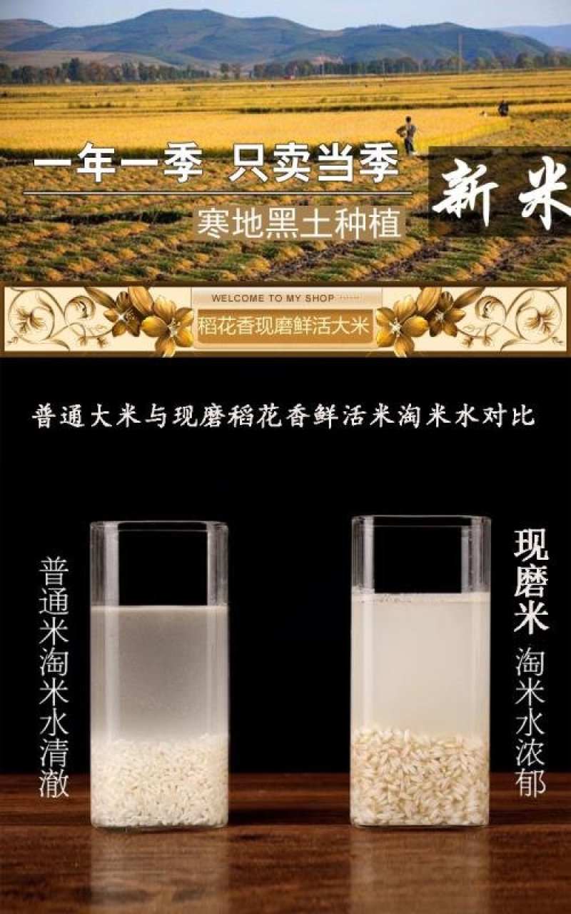 私人订制东北鲜米现磨新鲜米粳米稻谷现磨