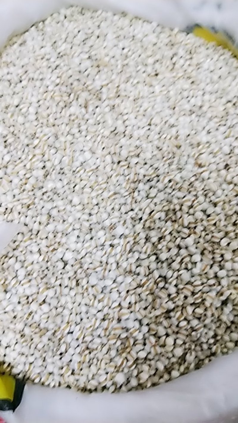 小意米小薏米小薏米质量可以