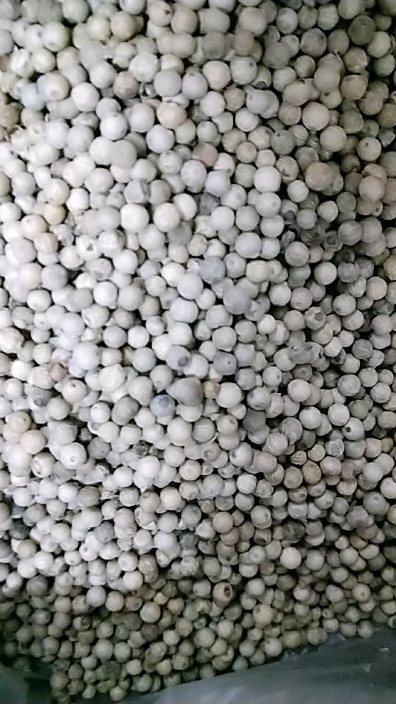 海南中粒质量可以胡椒