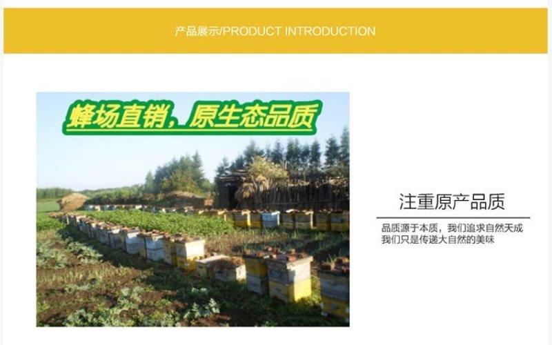 新鲜蜂王浆蜂乳王浆蜂皇浆林都伊春农家自产东北特产