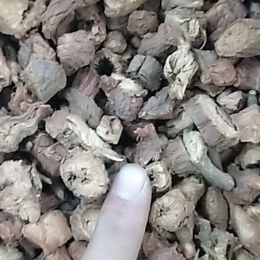 大粒头粒靓货精选丹参