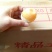 无铅松花皮蛋鸭蛋皮蛋包蛋一箱100个