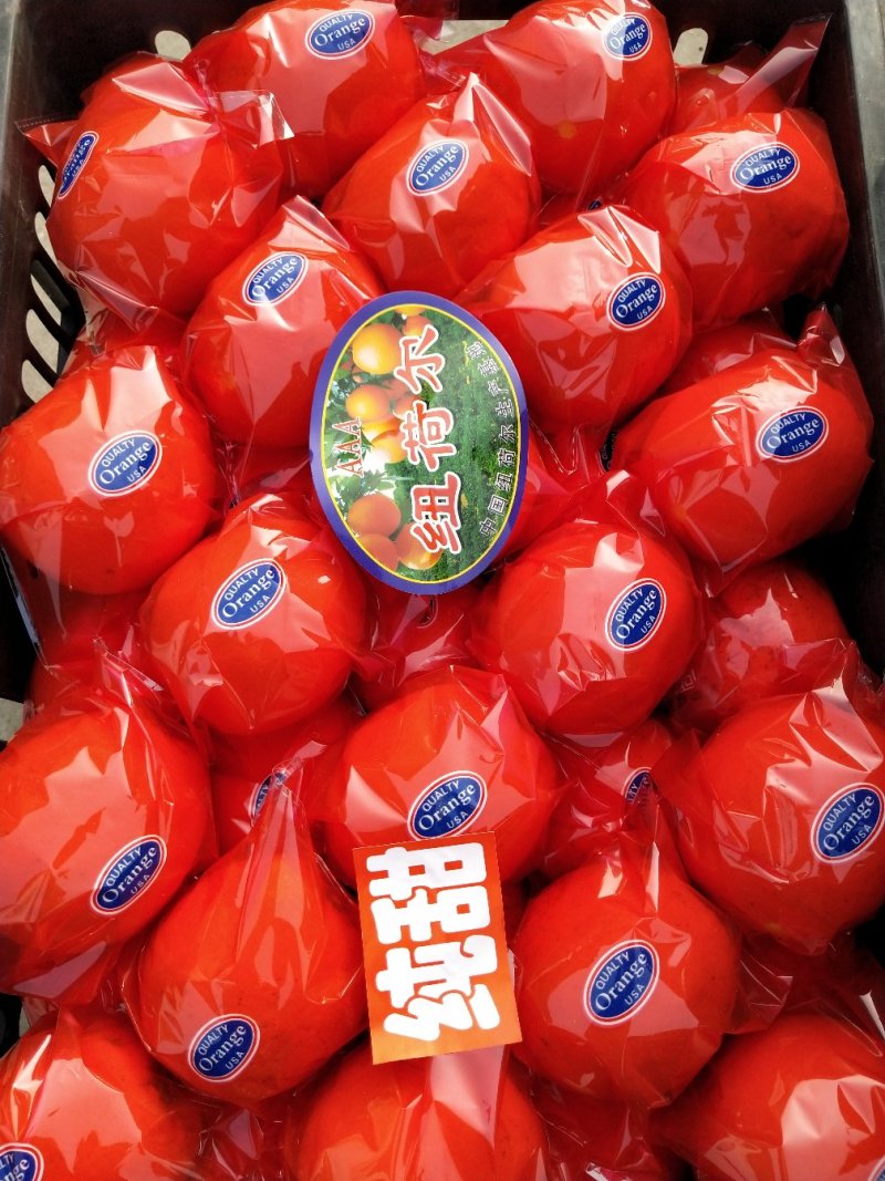 纽荷尔脐橙