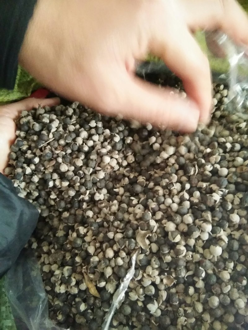 产地直供蔓荆子个大饱满