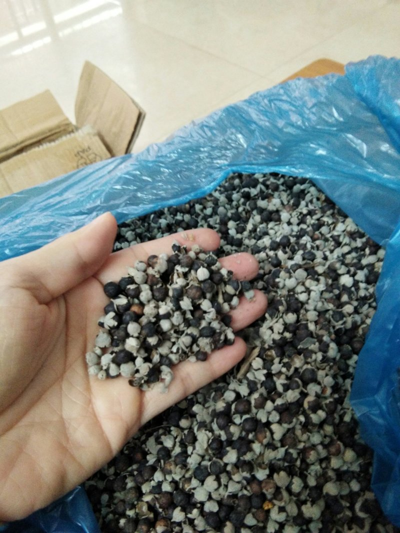 产地直供蔓荆子个大饱满