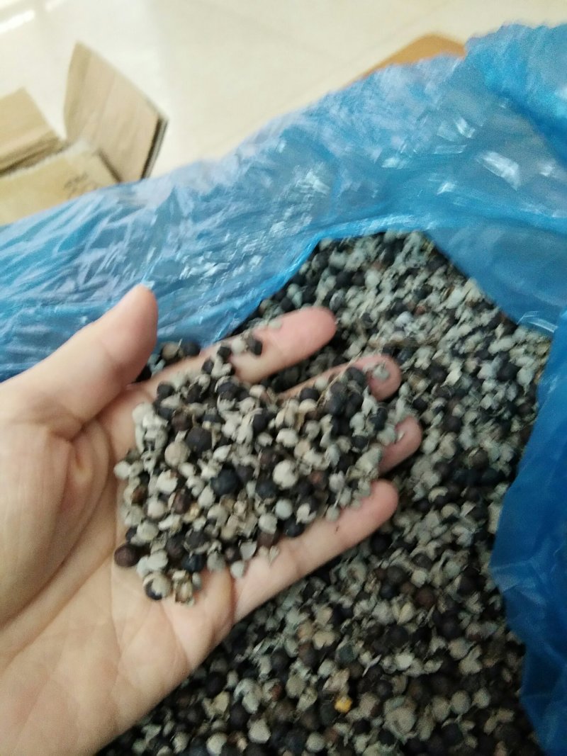 产地直供蔓荆子个大饱满