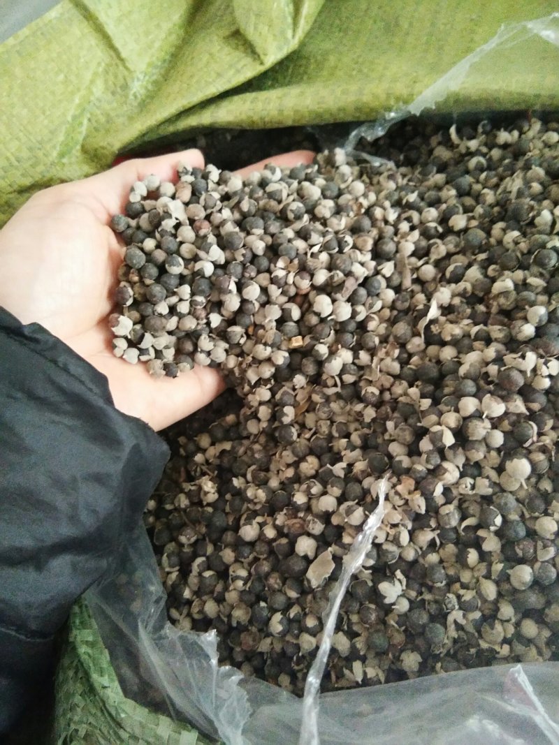 产地直供蔓荆子个大饱满