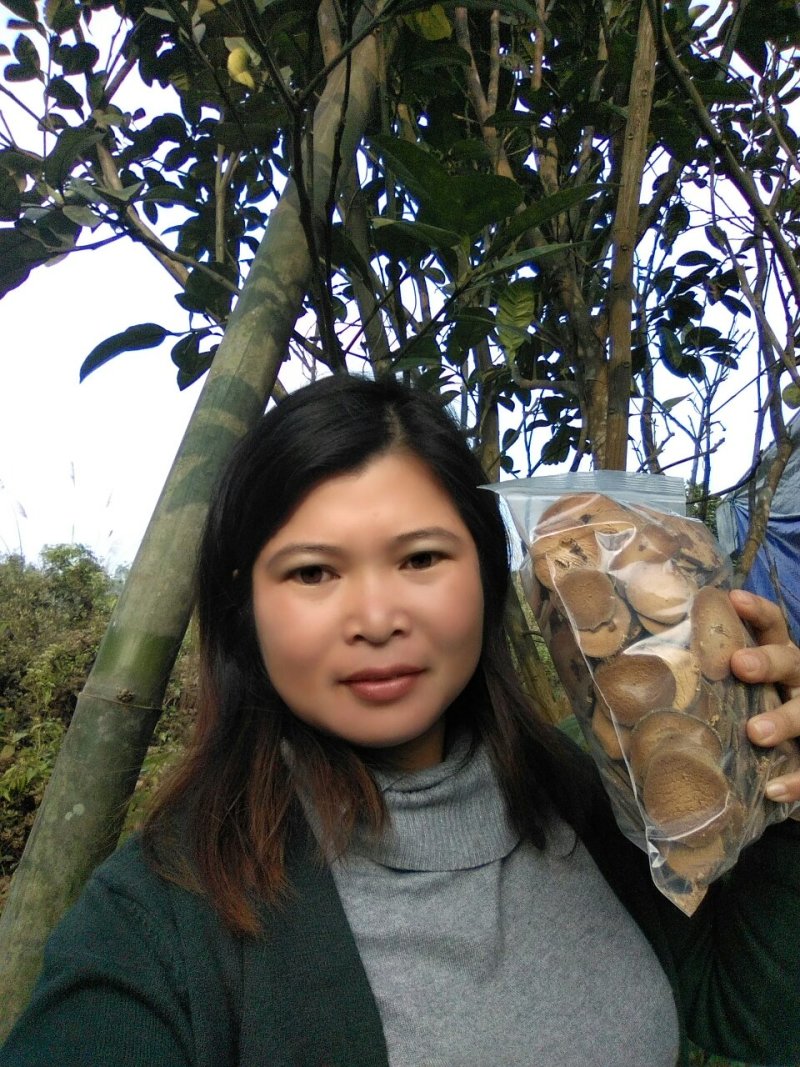 化橘红正宗正毛化州产地，特价