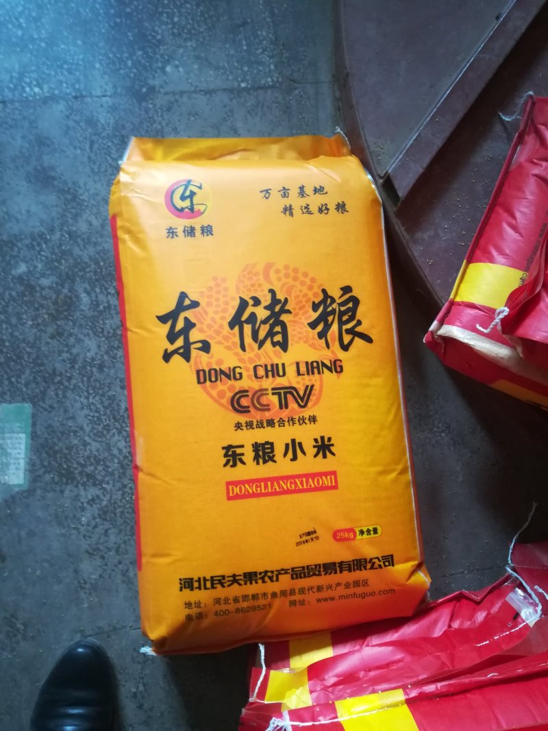 新米大金苗小米