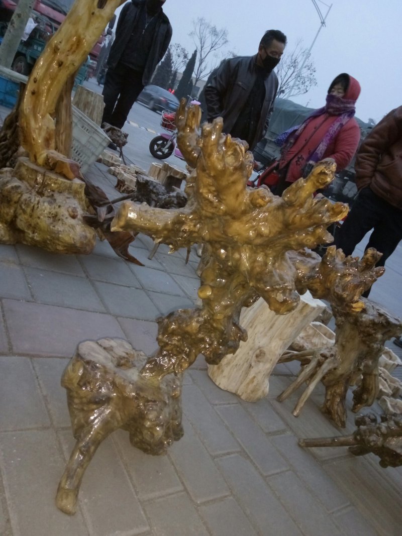 荆轲原木根