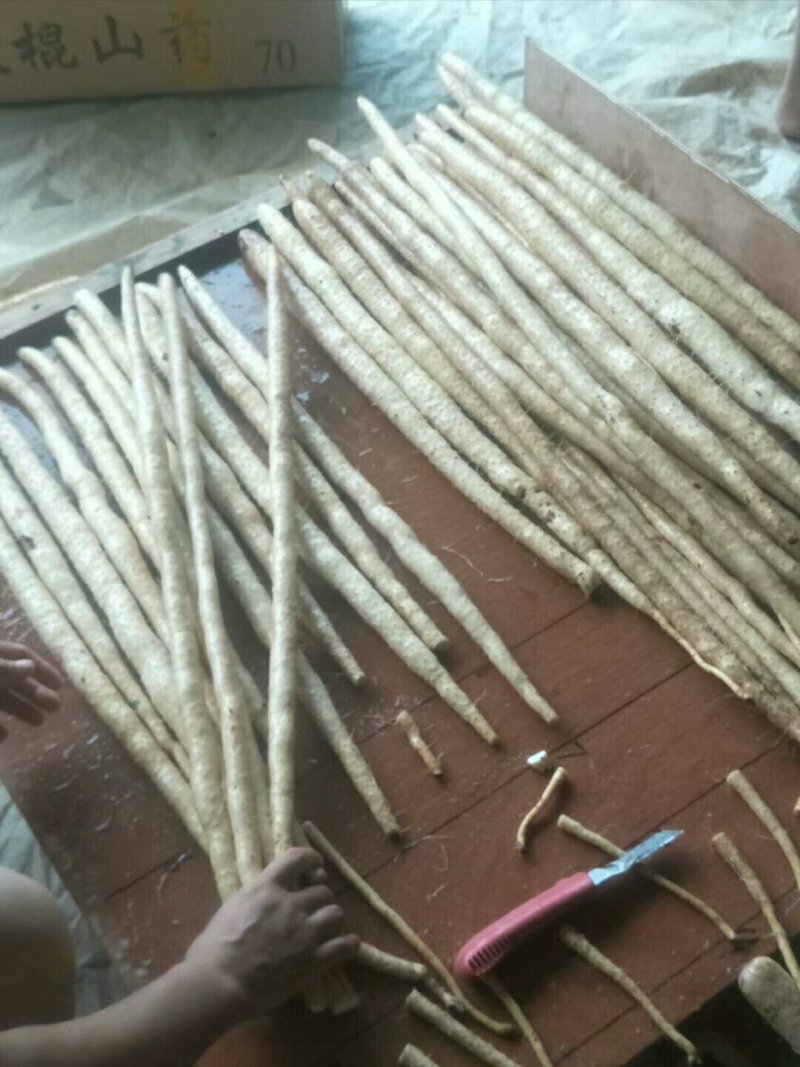 小白嘴