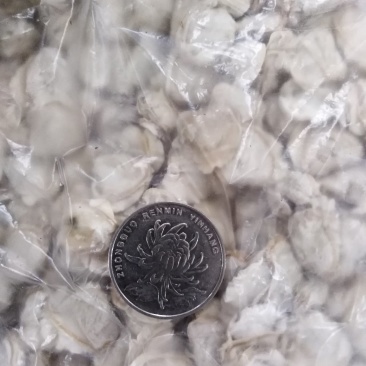 希吉米一河蚬子肉