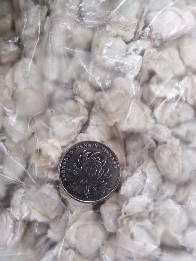 希吉米一河蚬子肉
