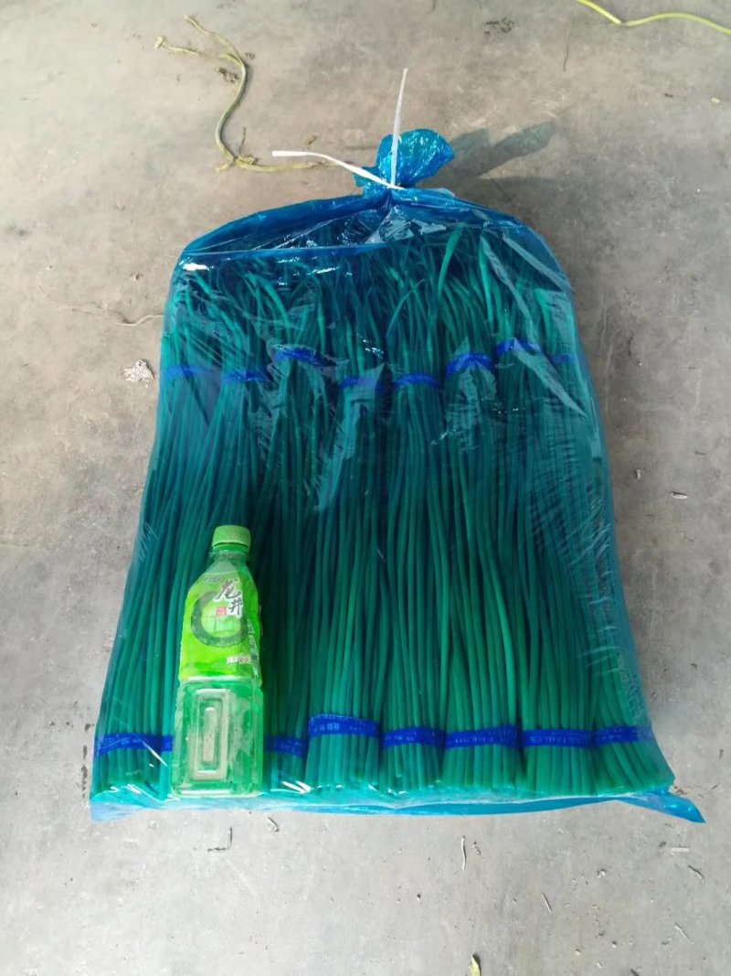 山东金乡各种包装，