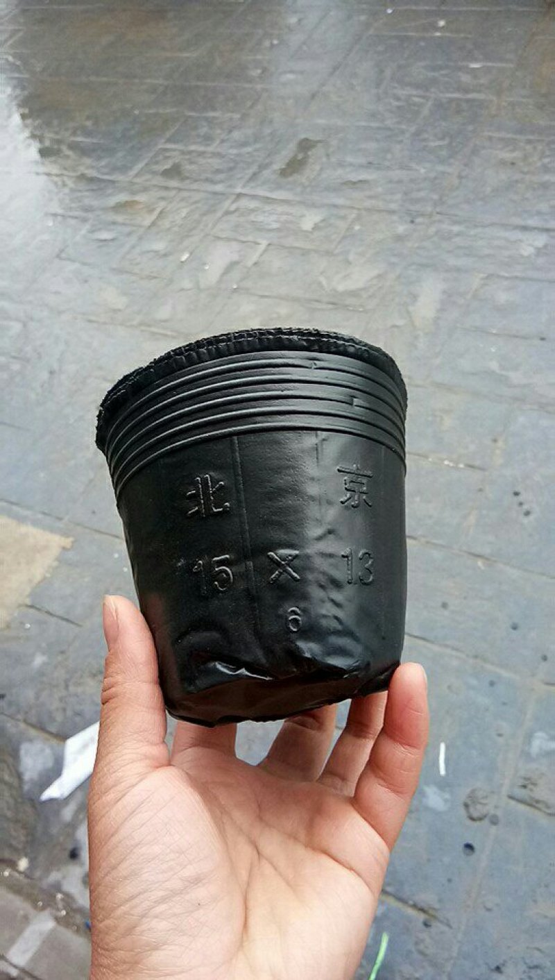 育苗袋营养钵育苗盆种植穴盘塑料营养袋育苗袋一次性花盆