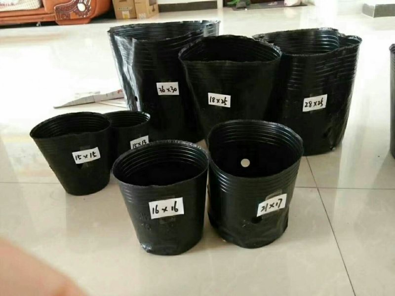 育苗袋营养钵育苗盆种植穴盘塑料营养袋育苗袋一次性花盆