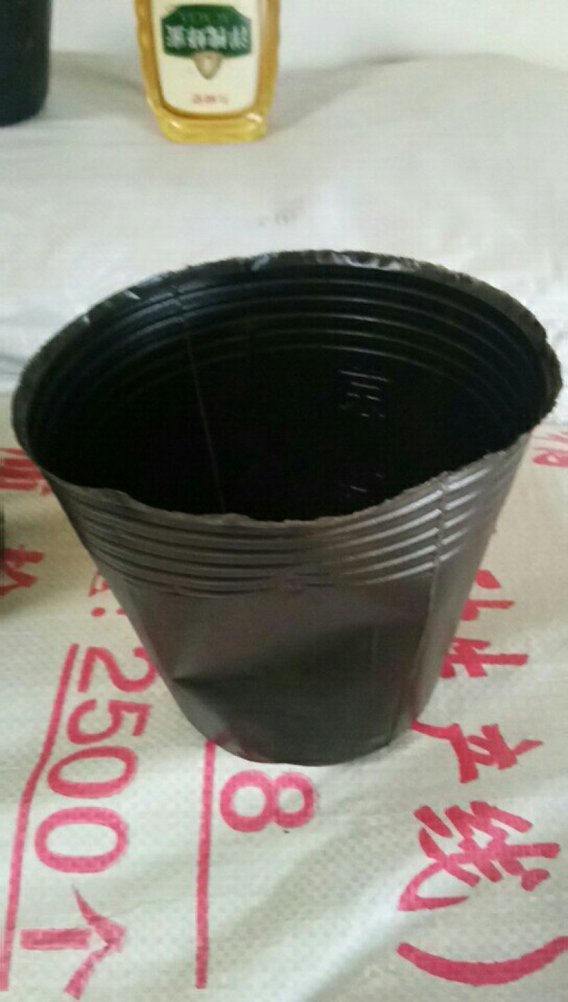 育苗袋营养钵育苗盆种植穴盘塑料营养袋育苗袋一次性花盆