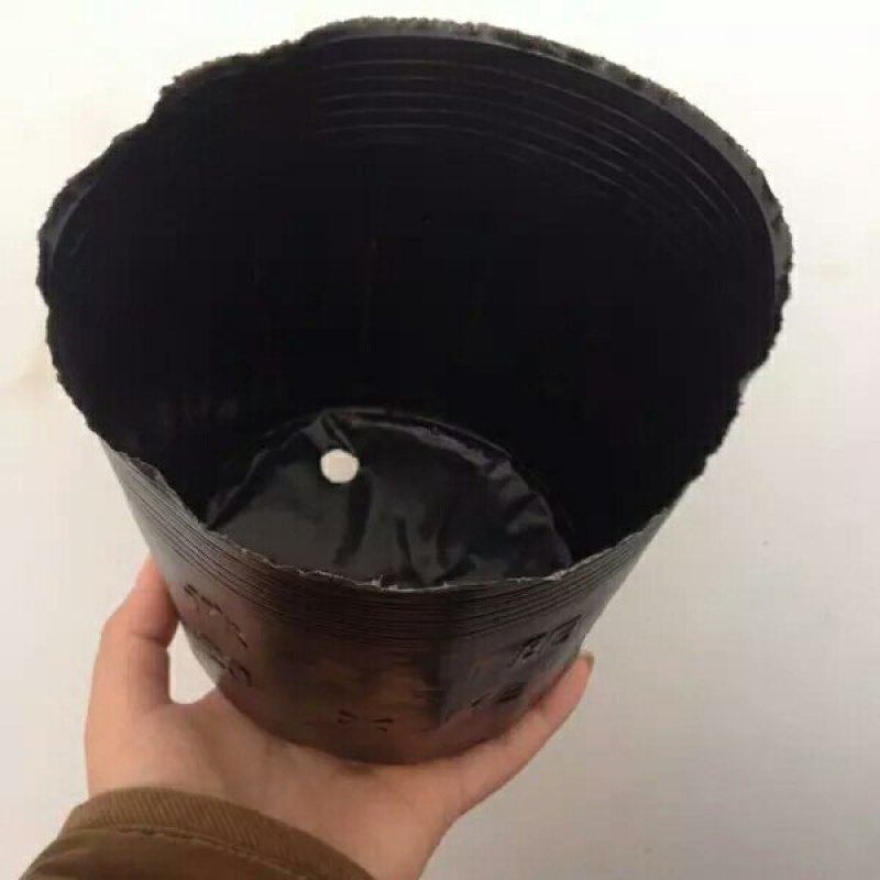 育苗袋营养钵育苗盆种植穴盘塑料营养袋育苗袋一次性花盆