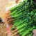安丘铁杆青香菜冷库香菜大量低价供应可加工高矮规格多样