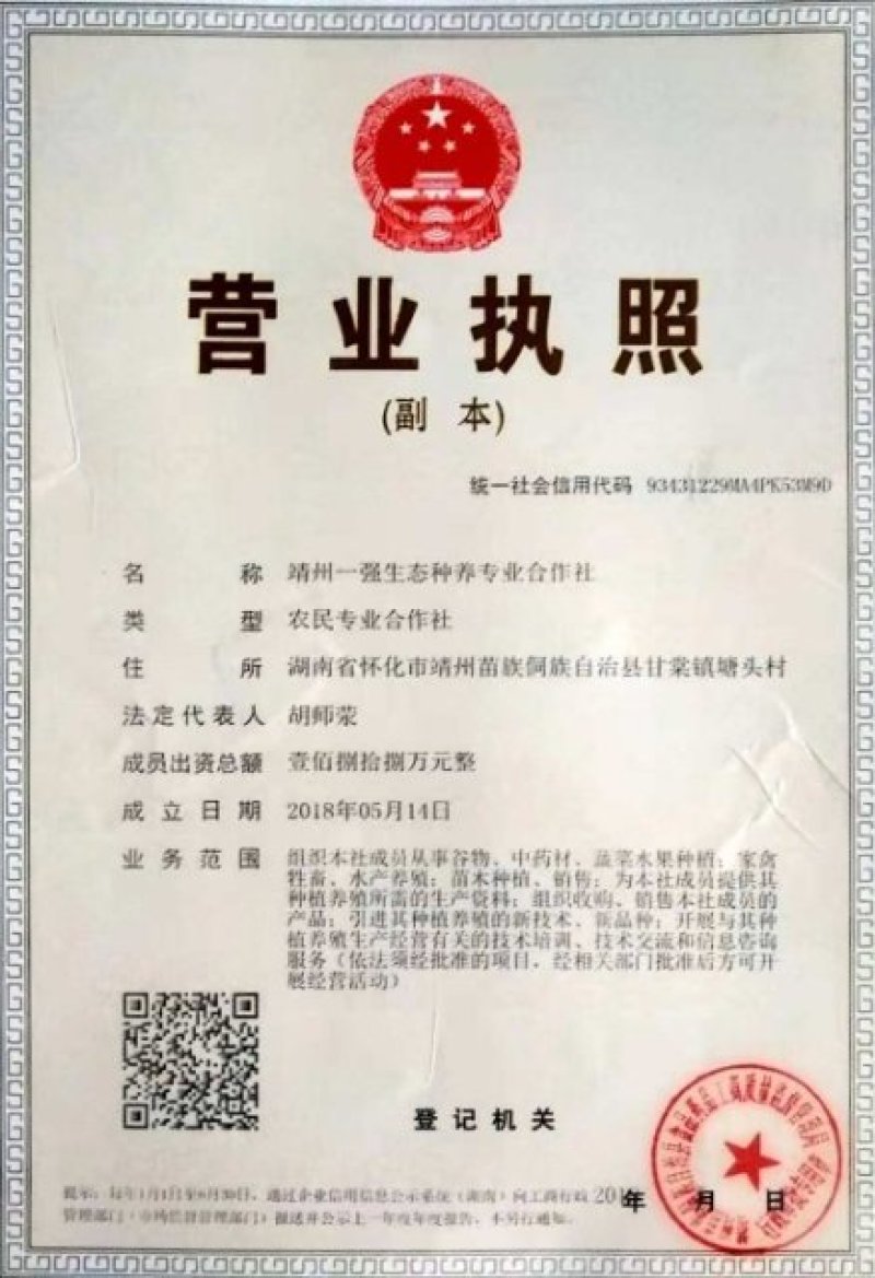 东魁杨梅苗假一赔十提供技术支持