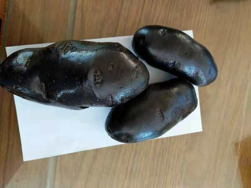 紫土豆