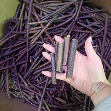 缅甸便秘果腊肠果一斤装可一件代发量大从优