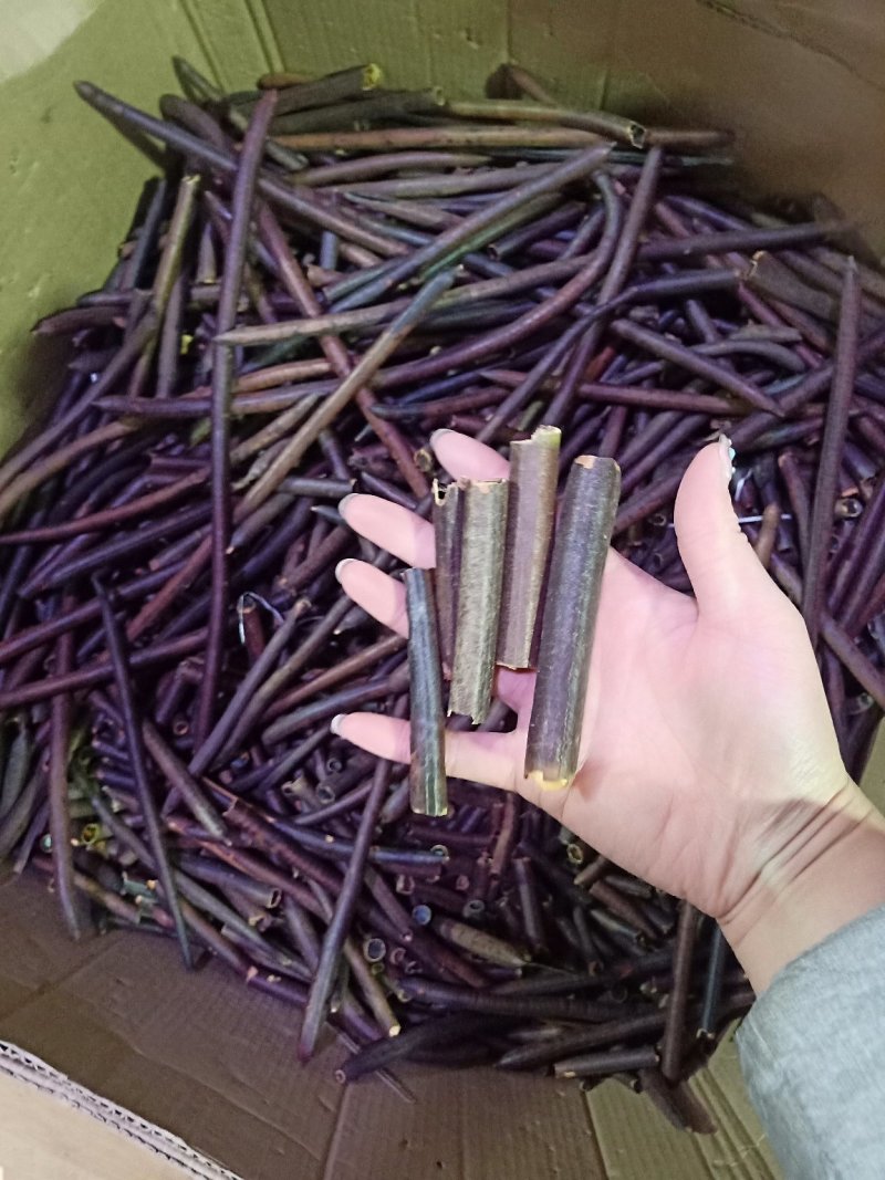 缅甸便秘果腊肠果一斤装可一件代发量大从优