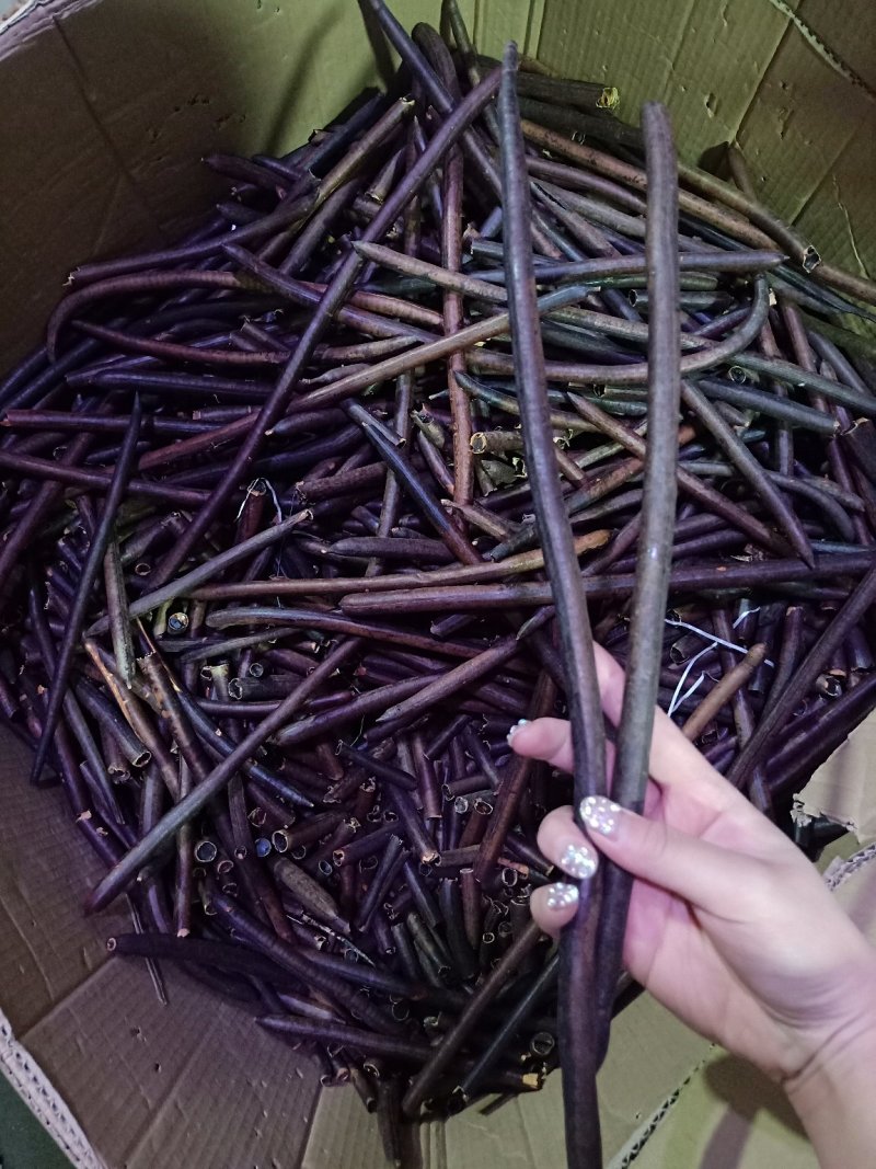 缅甸便秘果腊肠果一斤装可一件代发量大从优