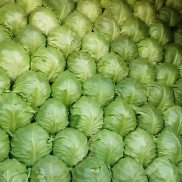 质量逐渐上升