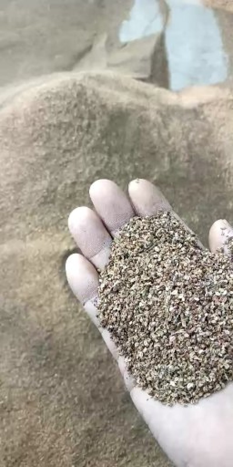 野菊花蛇床子各种质量