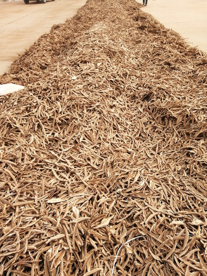 批发出售灵芝片