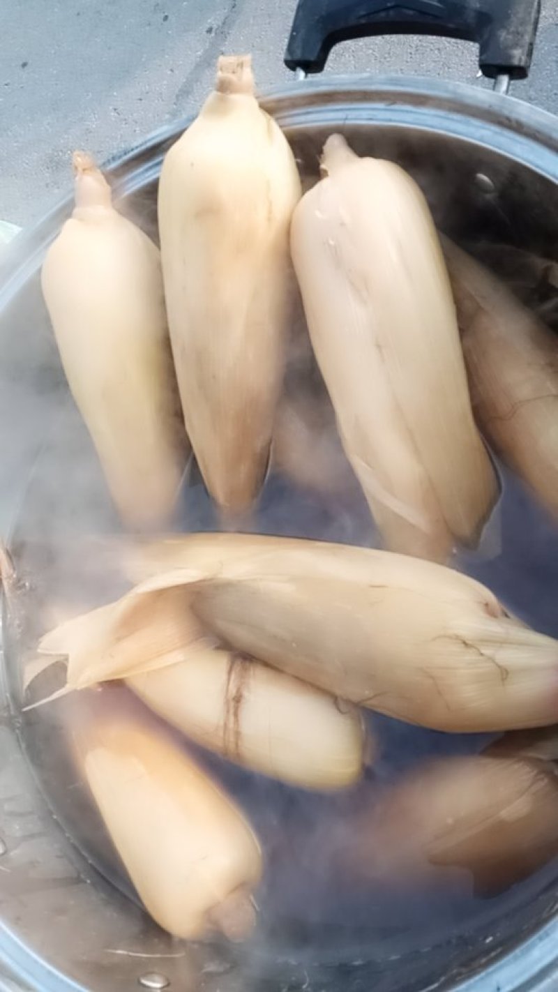 粘玉米大量甩卖0.9一斤