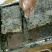 长白山黑蜂自然成熟原蜜